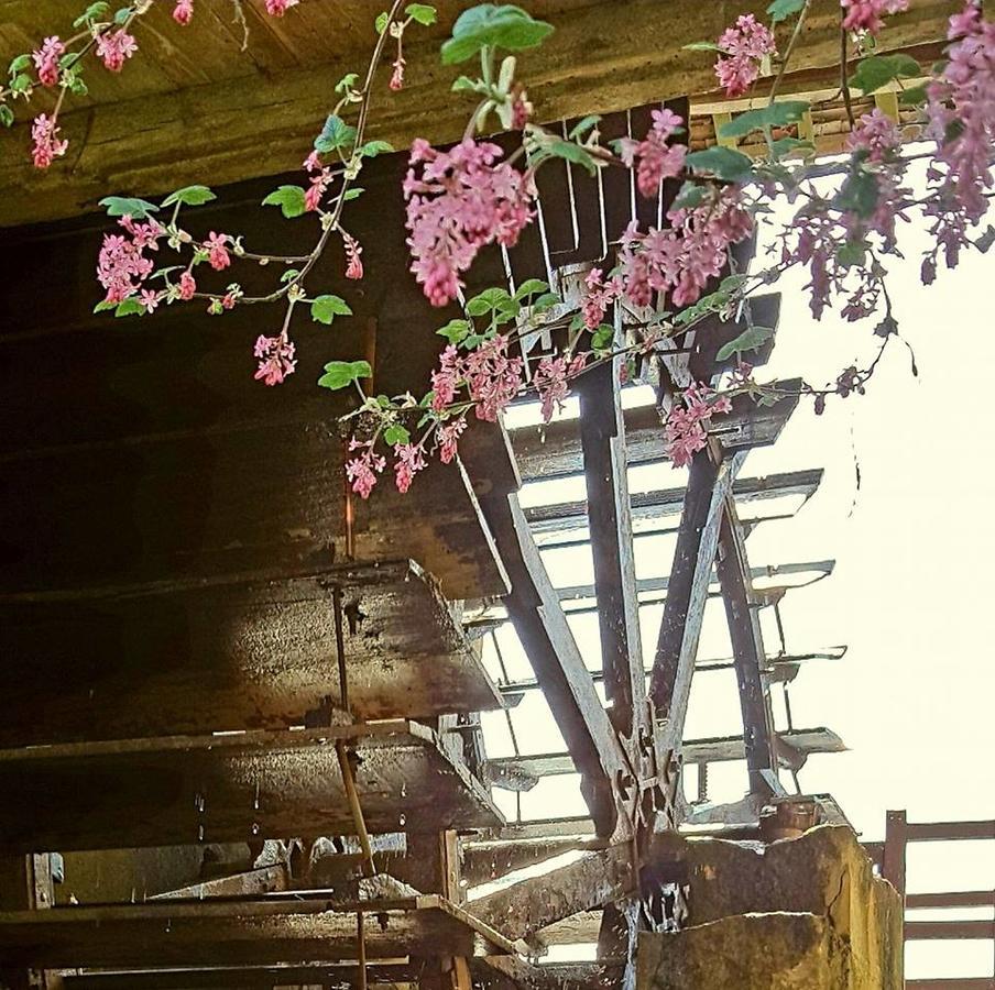 Moulin De Janlard Casa rural
